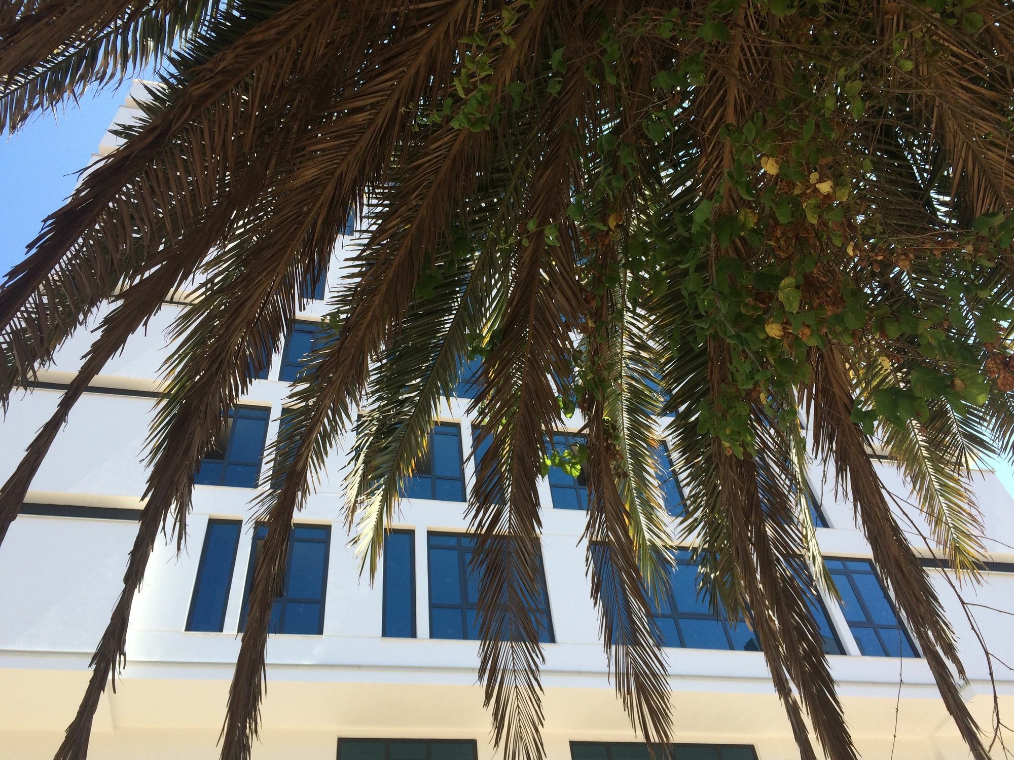 Aselia Hotel Trabzon Esterno foto